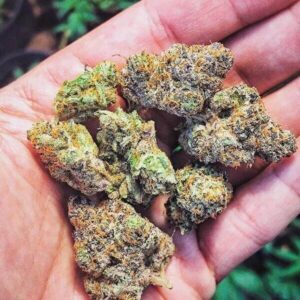 Cannabis Flowers