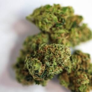 7-Way Cannabis Strain
