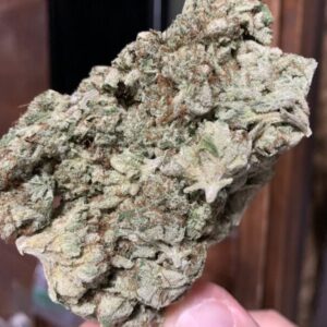 Biscotti Medical Marijuana