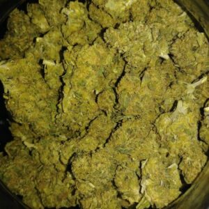 GSC Marijuana Strain