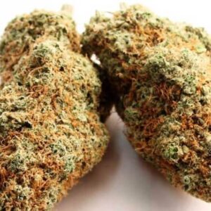 Megalodon Weed Strain