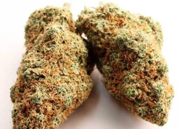 Megalodon Weed Strain