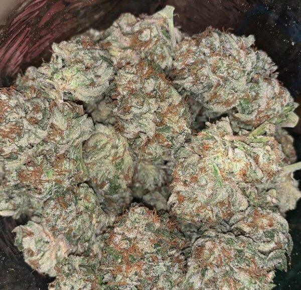 Orange Cookies Cannabis Strain