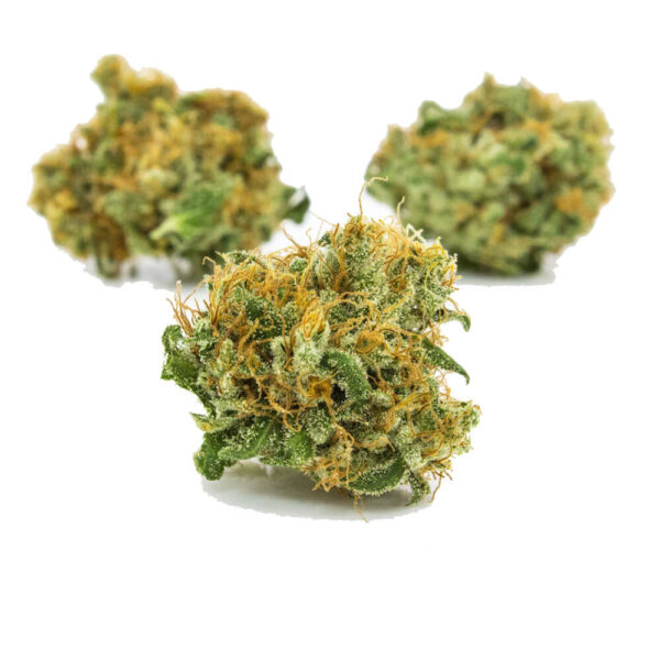 Snowcone Medical Marijuana Strain